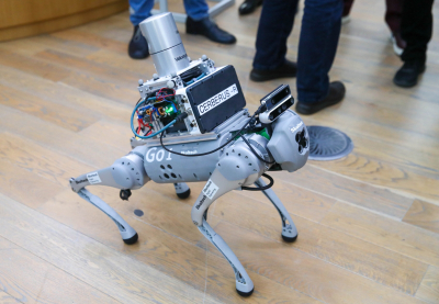 &laquo;Людям нужен живой друг, но технологии неумолимы&raquo;: кинолог рассказал о суровом будущем для четвероногих