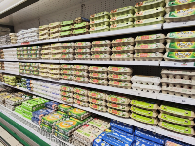 В Подмосковье построят крупнейшую в России птицефабрику