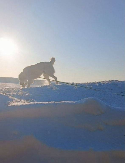 Минниханов поделился фото прогулки с Акдусом и посетовал на мороз