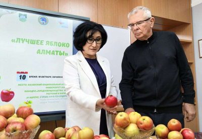 В Алматы выбрали лучший по вкусу сорт яблок