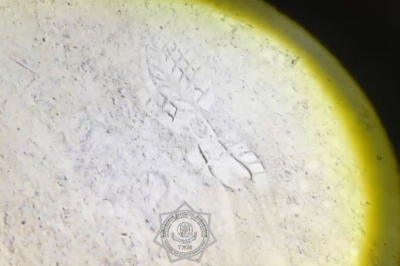 Беспилотники и настойчивость: как спасатели нашли пропавшего мужчину в степи