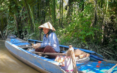 &laquo;Город мостов&raquo; стал ближе: когда лететь во Вьетнам из Владивостока и сколько это стоит