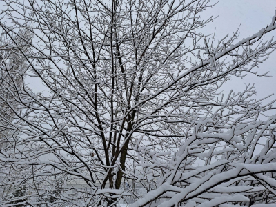 Снегопады и дожди: новый циклон надвигается на Приморье