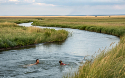 Законно ли устанавливать платный доступ к водным объектам?
