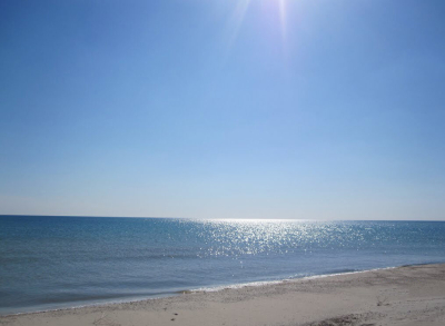 Шекарчи: Иран не планирует перекрывать Ормузский пролив