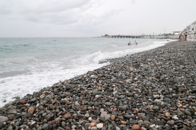 Недалеко от&nbsp;побережья Анапы обнаружили нефтяное пятно, а&nbsp;на&nbsp;пляжах &ndash; 200 измазанных птиц