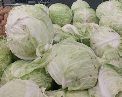 Овощехранилища заполнены, цены зафиксированы