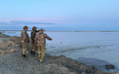 Более 6,3 миллиарда кубометров воды направлено в Павлодарской области