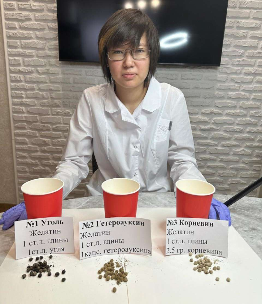 Миллионы деревьев из семян