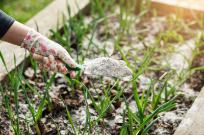 Рассыпьте это по снегу в марте &mdash; и земля станет плодородной без перекопки и усилий