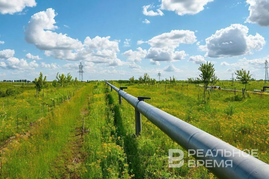 В Казахстане не намерены поставлять нефть в Германию по &laquo;Дружбе&raquo; до конца лета