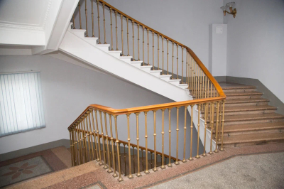 Москвичка забила квартиру кошками и мусором и попала в психбольницу