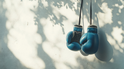 Казахстанская федерация бокса официально стала полноправным членом World Boxing