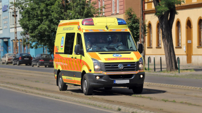 В Малайзии буйвол смертельно ранил мужчину перед жертвоприношением