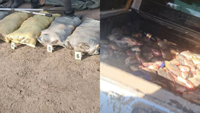 Почти 300 кг незаконно выловленной рыбы изъяли в Павлодарской области