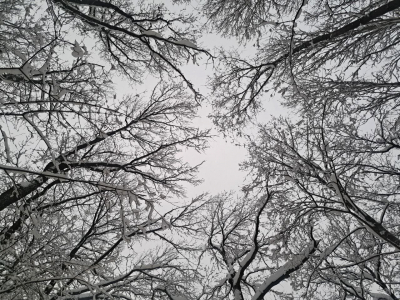 Циклон принесет осадки и похолодание в Приморье: прогноз на неделю