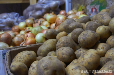 Лук в Татарстане подорожал на 13,5% за неделю