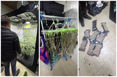 Появились фото наркотической &laquo;плантации&raquo; в квартире жителя Казани