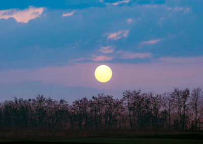 Цветочное полнолуние смогут увидеть татарстанцы в ночь на 2 мая