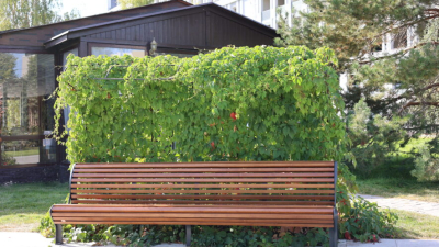 Казань украсят цветами почти на 180 миллионов: опубликован список улиц для благоустройства 29/04/2026 &ndash; Новости