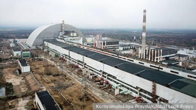 Юрист Асабина заявила о возможных штрафах за кормление голубей во дворах