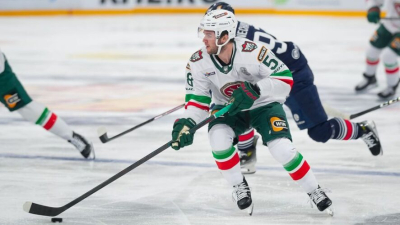 "Ак Барс" уступил во второй гостевой игре полуфинала, серия переезжает в Казань 27/04/2026 &ndash;