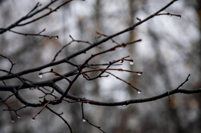 Татарстанцам в&nbsp;начале недели обещают дожди с&nbsp;мокрым снегом